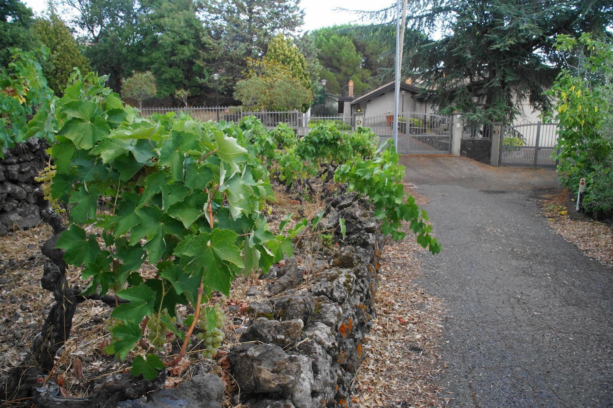 Ragalna Etna Paradise Locazioni Breviヴィラ エクステリア 写真